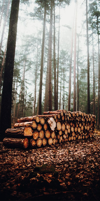 FSC timber pallets