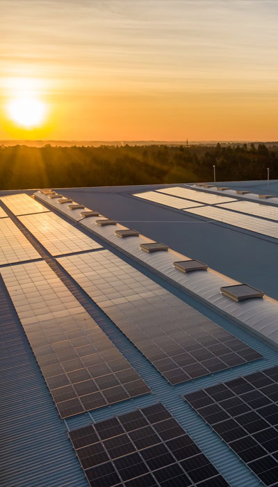 solar powered pallet factory